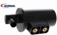 Ackoja A52-77-0043 Aktivkohlefilter FüR TankentlüFtung FüR Hyundai FüR Kia