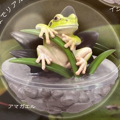 Caprium Collection Frog Figure Set of 5 pcs 2023 Qualia Japan | eBay