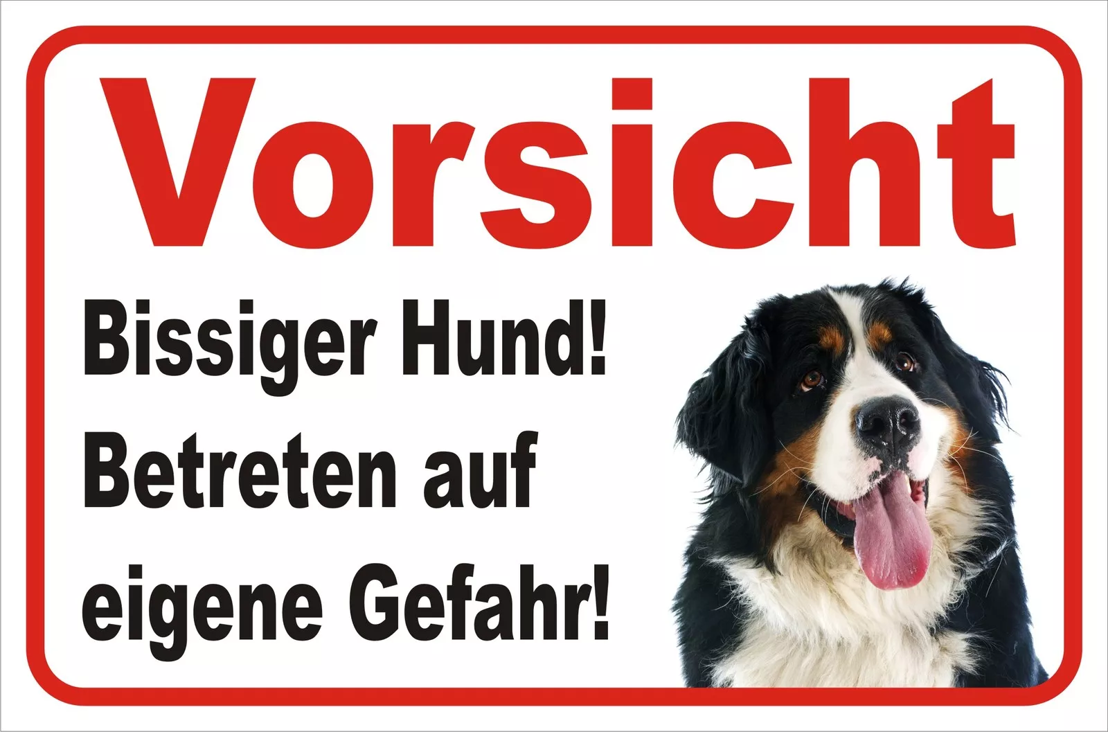 Bild 4 von 7