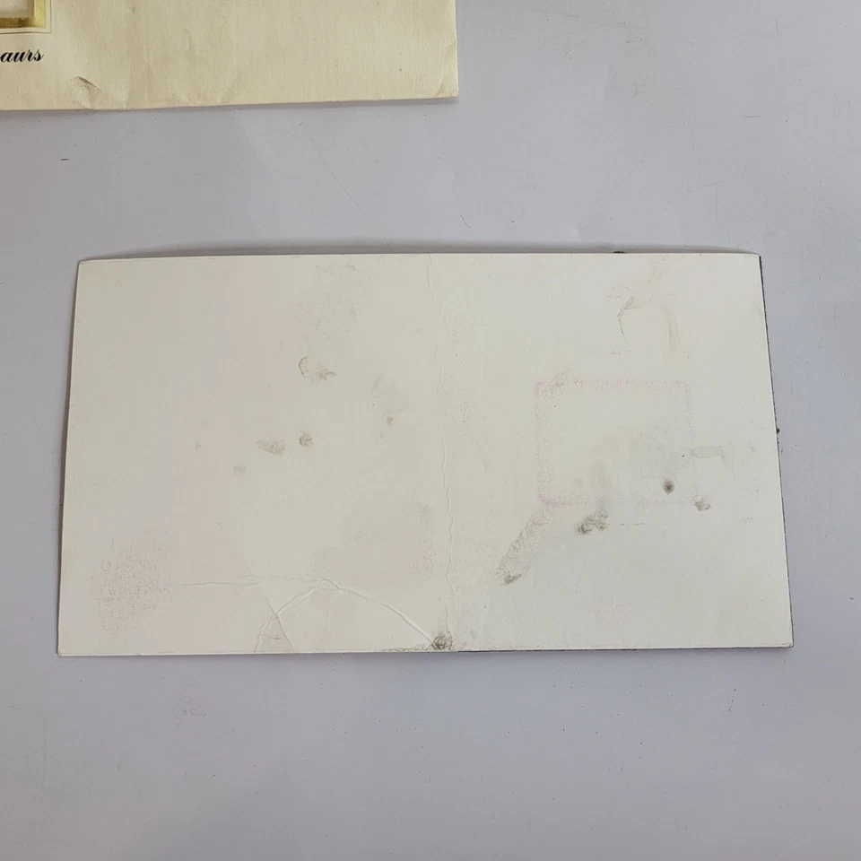 22k Gold Stamp First Day of Issue The World of Dinosaurs Stegosaurus May 1, 1997 - Image 4 of 4