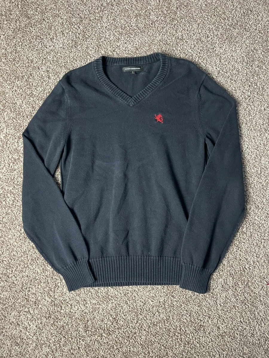 Express mens v neck best sale sweater