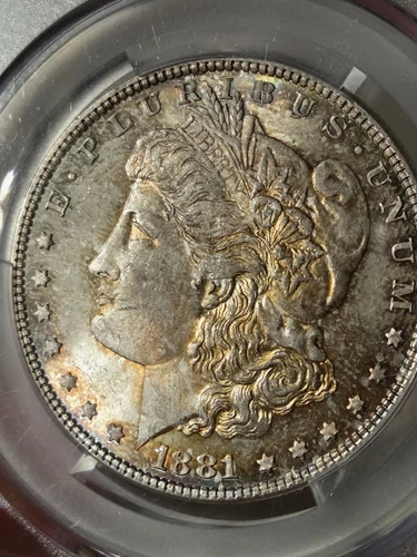 1881 $1 Morgan Dollar CACG MS63 Toned