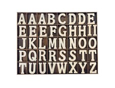 205 Pieces 2 Inch Wooden Letters Wood Alphabets for Crafts,Organized with Ext...
