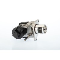 AGR Ventil Borg Warner 710327D