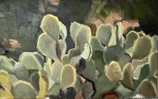 Sunlit Cactus Original Oil Painting