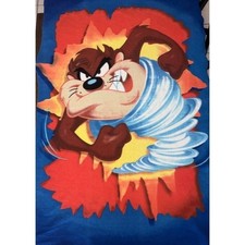 vintage 2002 looney tunes taz blanket 62x43