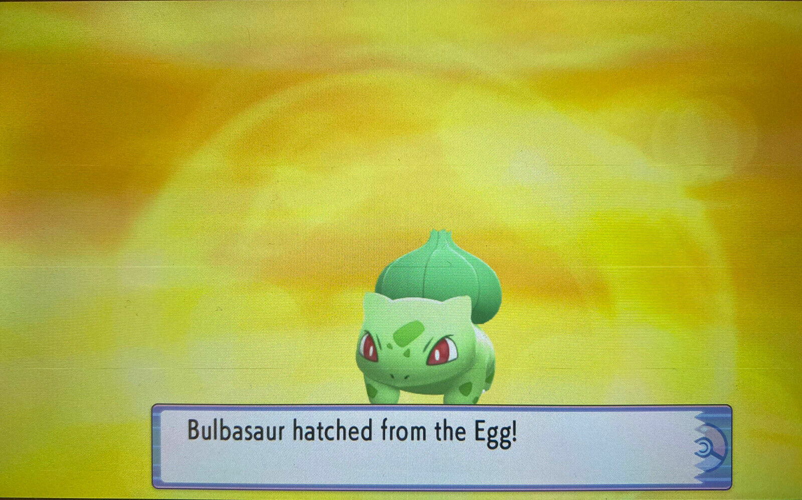 Pokemon Brilliant Diamond Shining Pearl Shiny Egg Starters 6IV