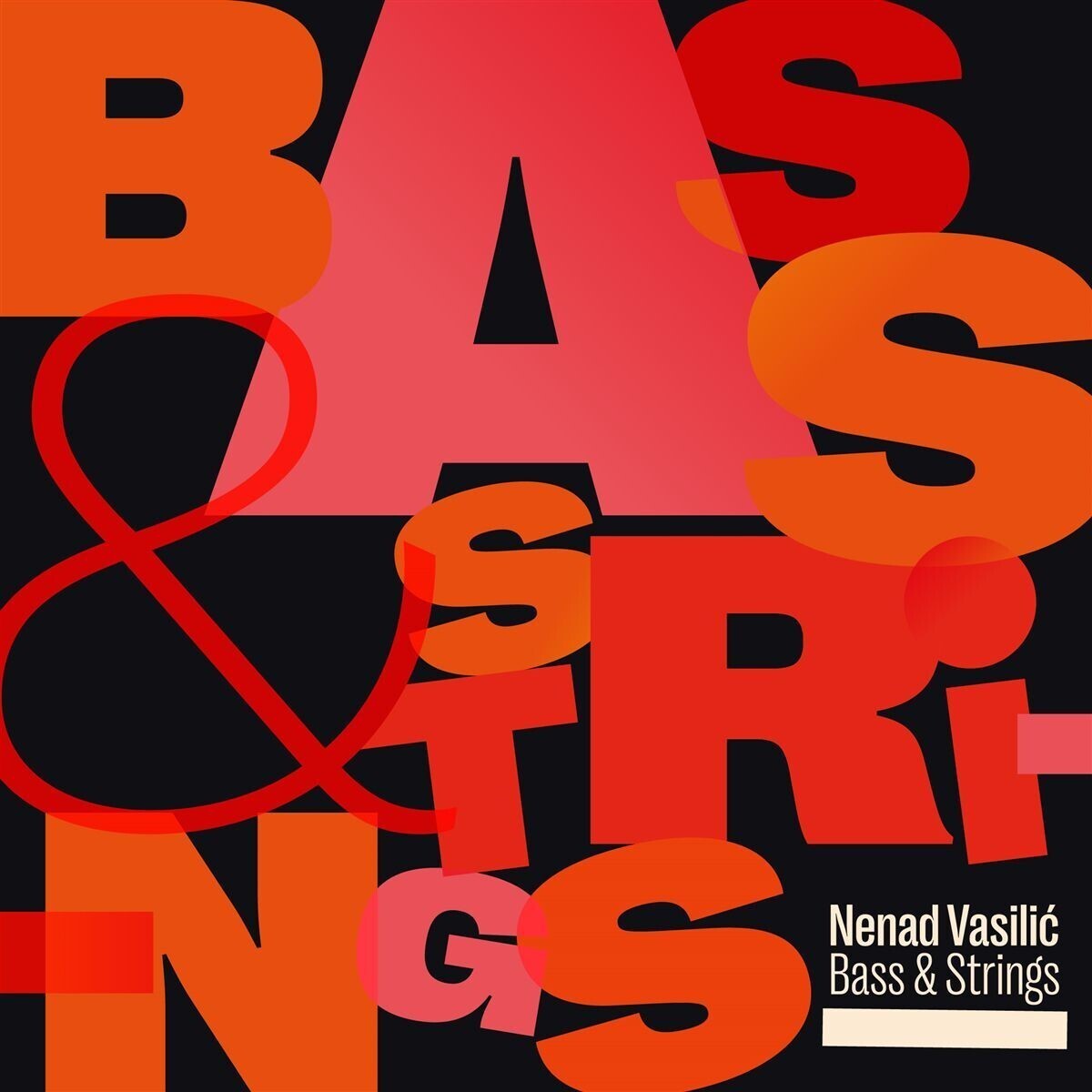 Nenad Vasilic Bass & Strings (CD) Album