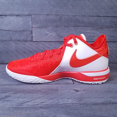 NIKE Zoom LeBron NXXT Gen TB Promo Basketball Shoes Mens 13  display picture 1