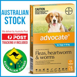 advocate medium dog 6 pack