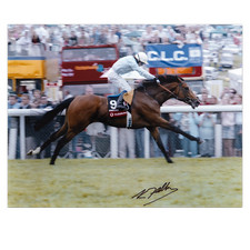 Kieren Fallon Signed Horse Racing Photo Horse Racing Legend Autograph COA