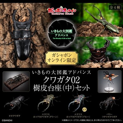 The Diversity of Life on Earth Advance Stag Beetle 02 w/ Display