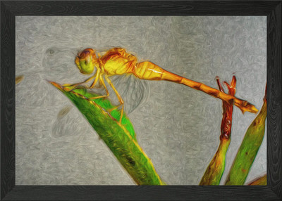 Goldene Libelle gerahmtes Wandbild Poster Leinwanddruck Bild