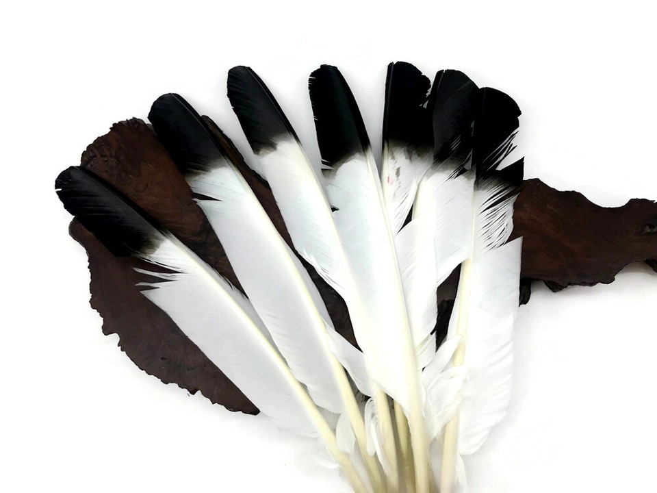 6 Pieces Black Tipped Turkey Pointers Imitation Eagle Wing Feathers ...