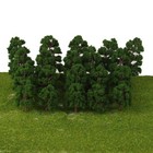 Bild 9 von 9