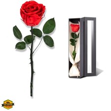 Flowers for Delivery Prime, Preserved Roses Flower Gifts for Women, Real Rose...