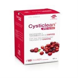 Cysticlean 240mg PAC 60 Capsules Urinary System Health & Prevention of Cystitis - Image 7