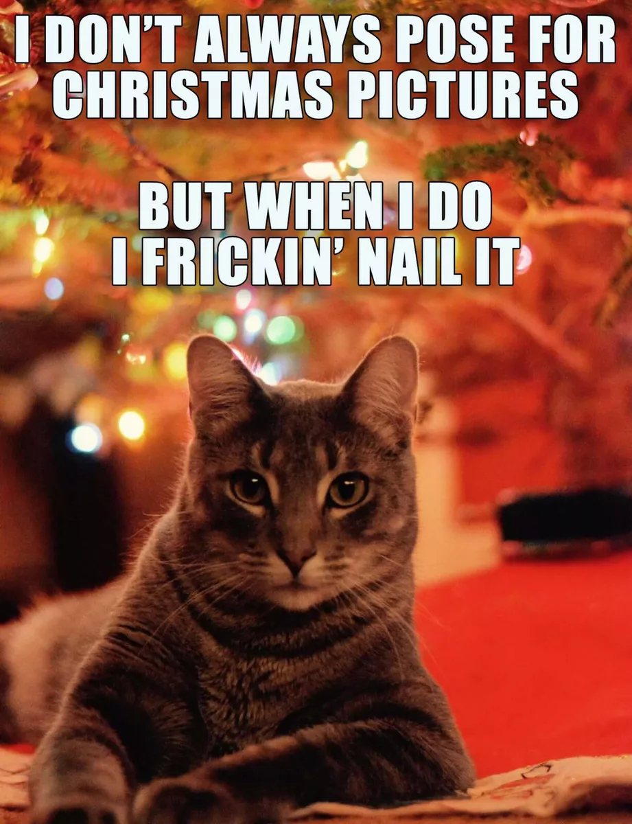 FUNNY CHRISTMAS CAT MEME "I FRICKIN' NAIL IT" FRIDGE MAGNET 5" X 3.5" | eBay