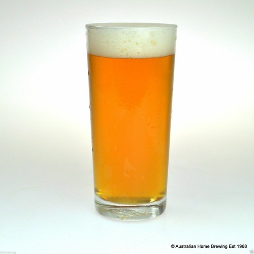 Beer Recipe Kit Little Creatures Pale Ale Home Brew brewing NO1 BEST