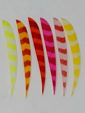 Trueflight 5" Bright Stripes Feathers, Shield or Parabolic