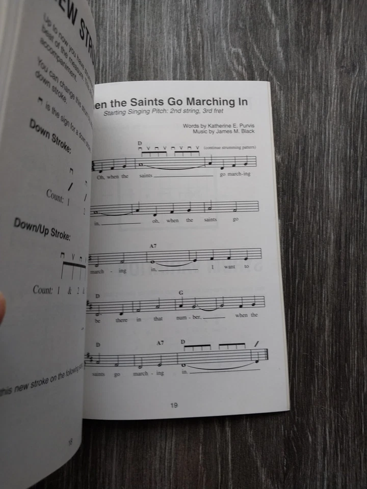 Synsonics Guitar Basics incluye ocho canciones con instrucciones fáciles de bolsillo Foto 3 de 4