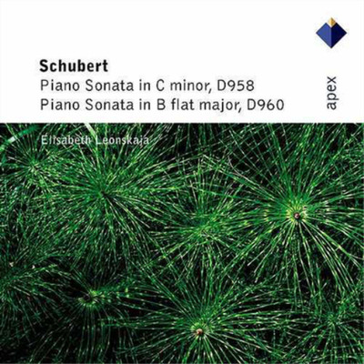 Franz Schubert Piano Sonatas: C Minor/b Flat Major (Leonskaja) (CD) (UK IMPORT)