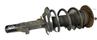 Shock absorber with coil spring
