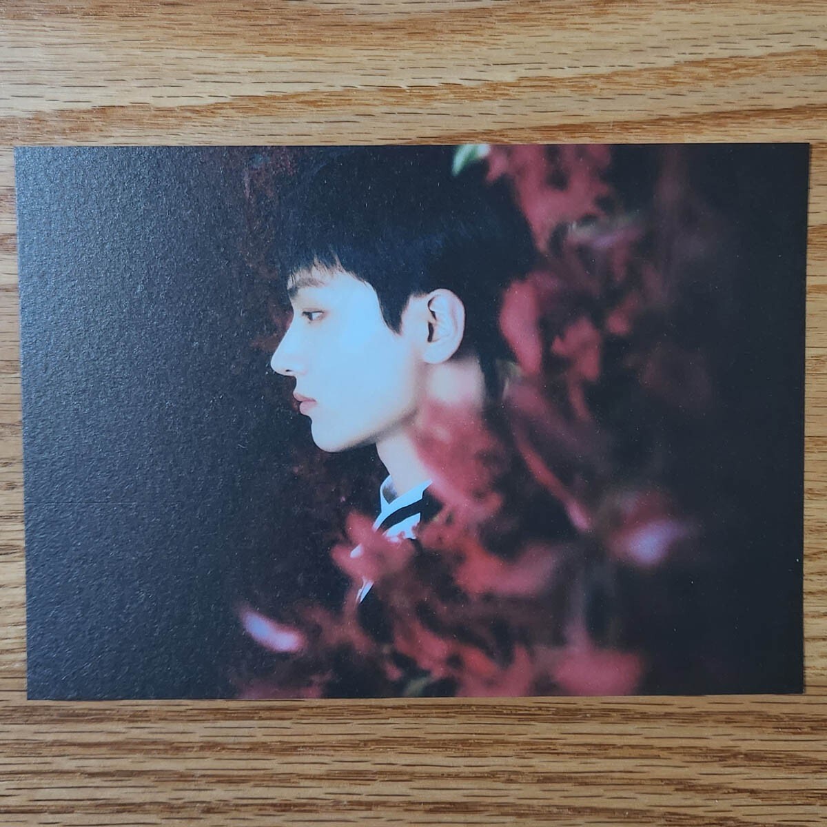 Jay Official Postcard Enhypen 4th Mini Album Dark Blood New Ver