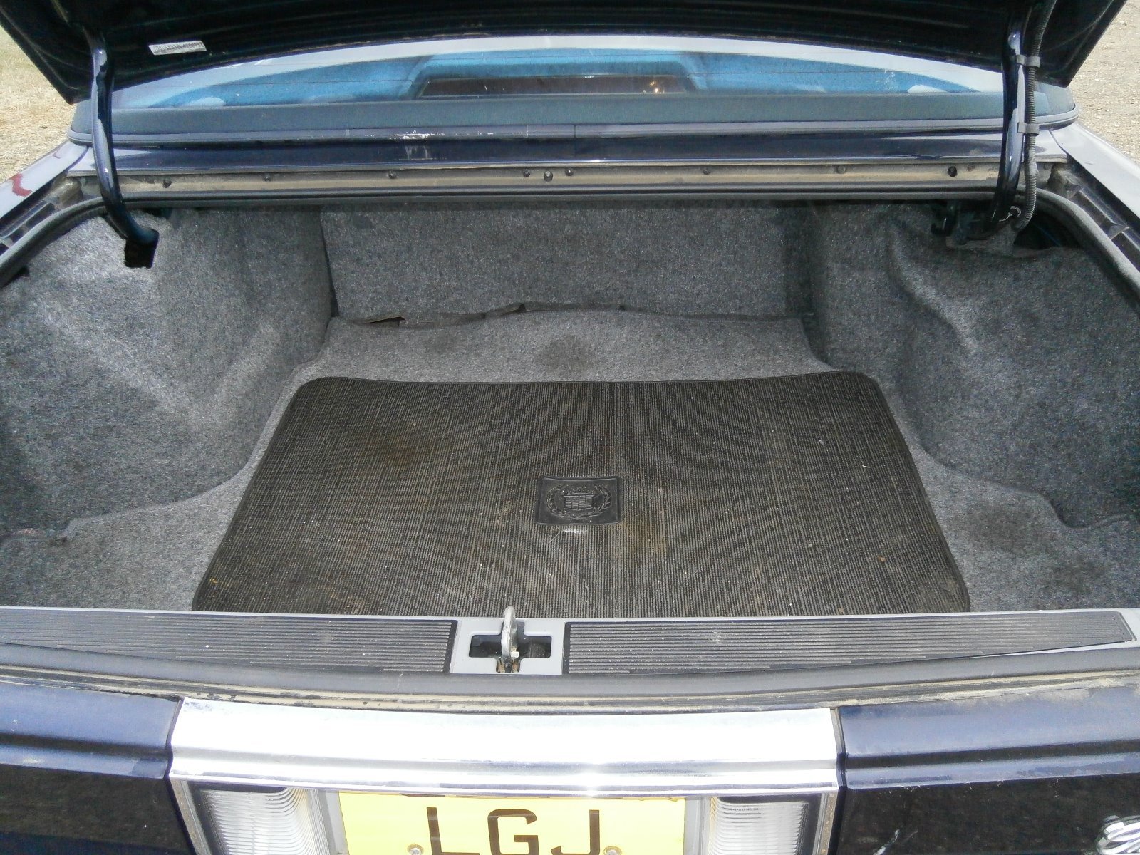 Picture 8 of 8