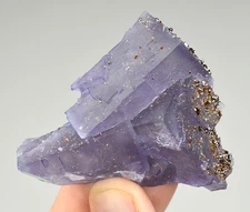Fluorite with Sphalerite and Pyrite -Cave-in-Rock, Hardin Co., Illinois
