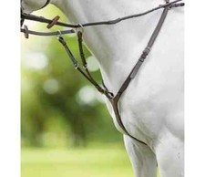 Veliciti Breastplate
