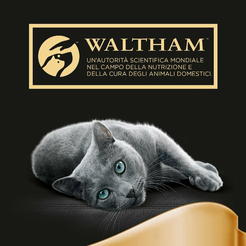 Kroketten Am Besten Katze Trockenfutter für Katzen Steril Salmone Morando 400g - Bild 4 von 4