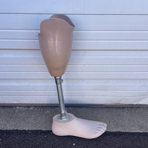 Prosthetic Leg Right Below Knee Bulldog Made In U.S.A. Foot Size 33