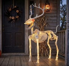 LED Illuminated Deer Skeleton 60-inch Halloween Decoration by Way to Celebrated