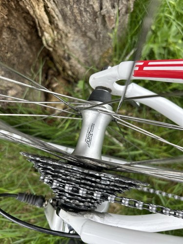 TOP ! Focus JAFIRA Rennrad, Halbrenner, ehem.UVP € 1.295,- - Bild 5 von 13