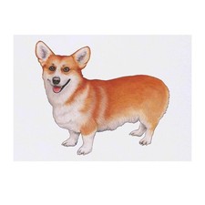 'Corgi Dog' Temporary Tattoos / Transfers TO00034104