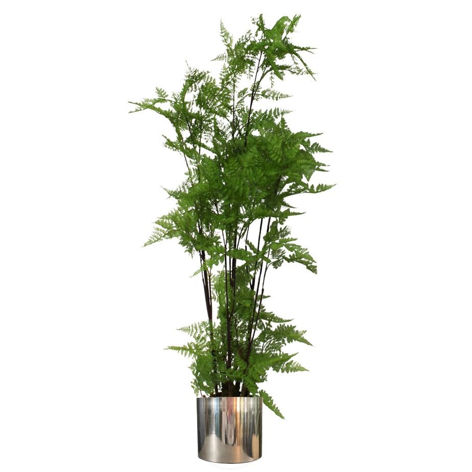 Leaf Artificial Natural Extra Large Fern Foliage Plant Silver Metal Plater - Green - Image 2