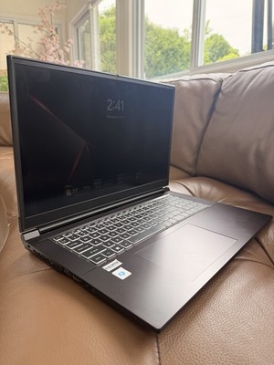Sager Clevo NP70PNP Laptop (i7, 16GB, 500GB NVMe, RTX 3060, Win 11) (E10019847)