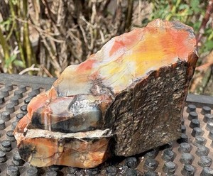 ☘️RR⛏️: Opal/Agate Replaced Arizona Rainbow Petrified Wood, Saint John’s Az. 🌈