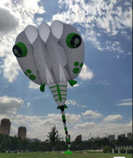 3D 13Sqm 1 Line Stunt Parafoil Wizard Tadpole POWER Sport Kite outdoor toy AAA