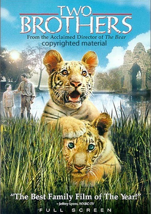 ミュージック THE TIGERS FOREVER DVD Amazon.com: The Tigers