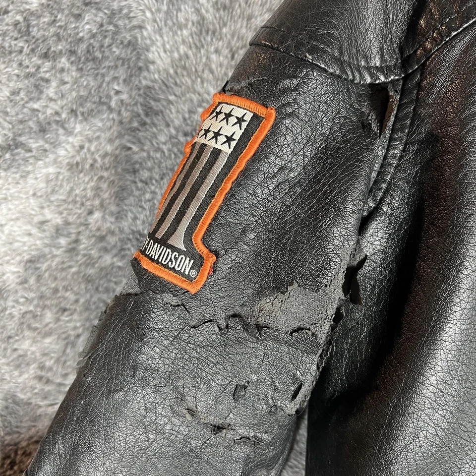 Chaqueta Harley-Davidson Niño Pequeño 3T Negra Imitación Cuero Motociclista Motocicleta Calavera Foto 4 de 4