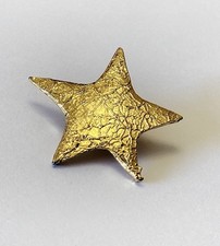 Gold Tone Textured Star Pin