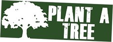 Plant a Tree Bumper Sticker Green eco Environment Global Hugger Conserve