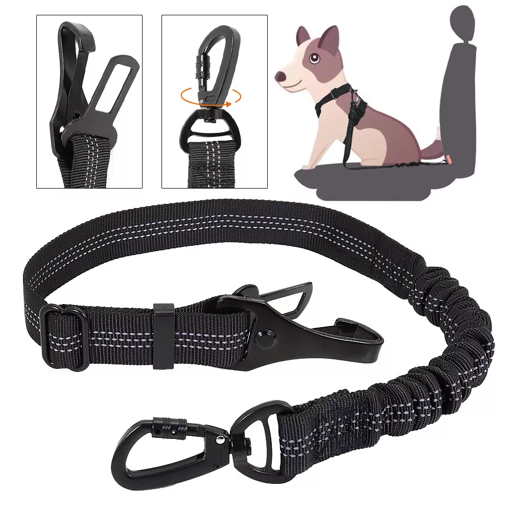 Dog belt 2025 under 100