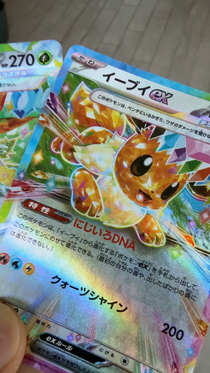 イーブイ進化 ホログラムカード Pokemon Card Eevee Evolution RR 9 Set Holo Terastal Festival sv8a