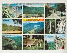 GRAMPIANS GREETINGS FROM HORSHAM VICTORIA 9 SCENES NUCOLORVUE POSTCARD