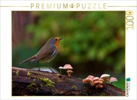 Calvendo Puzzle Rotkehlchen Im Wald | 1000 Teile Lege-GrößE 64X48Cm Foto-Puzzle