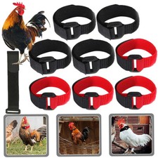 20/40X No Crow Rooster Collar Chicken Collar Noise Free Anti Crow Neckband Belt