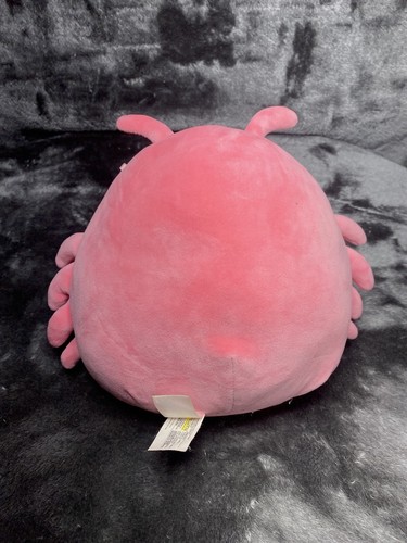 Squishmallow Sealife Squad Loron The Red Lobster 8" - Picture 6 of 8